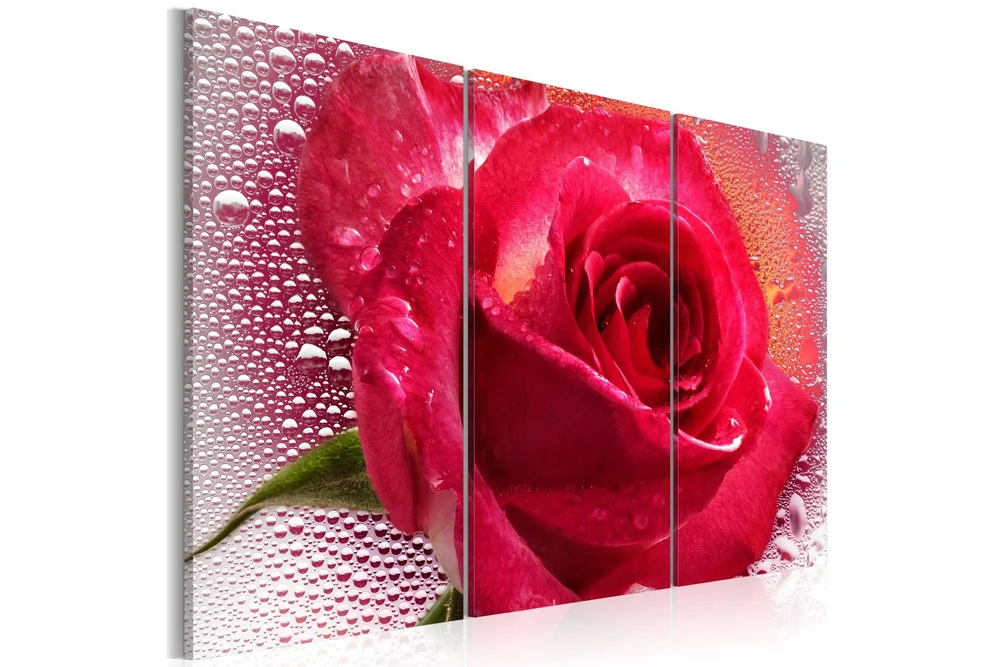 Bilde Lady Rose Triptych 120x80 v:7533523