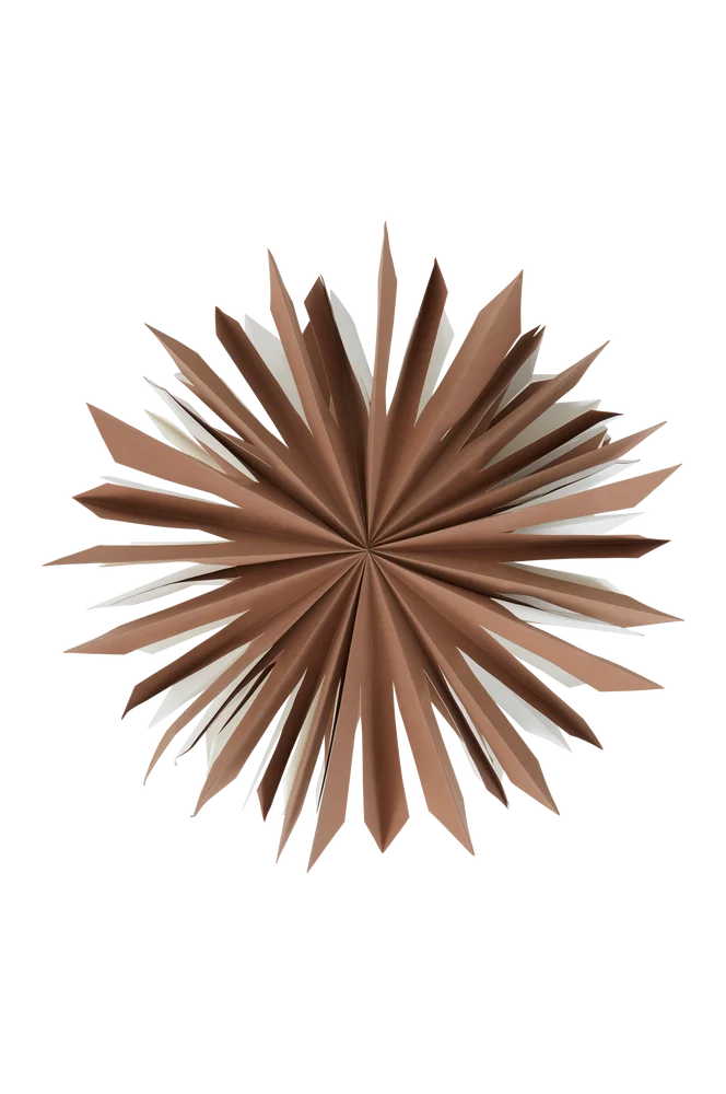 SIRIUS adventsstjerne ø 60 cm - Brun - Belysning | m v:4828386