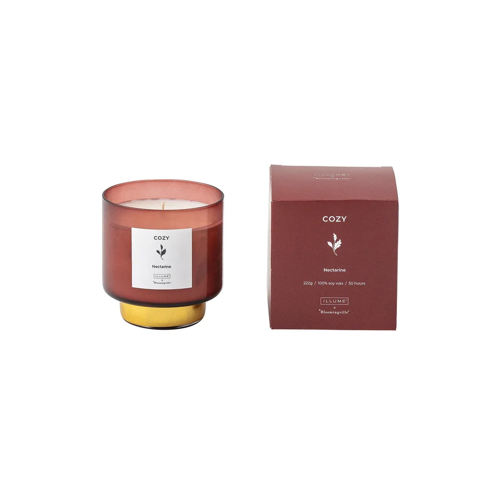 Cozy Nectarine duftlys v:8465722 Cozy Nectarine duftlys v:8465722