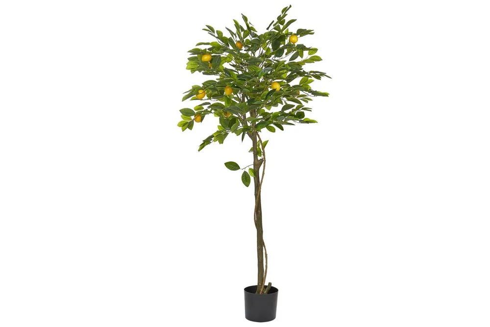 Konstgjord växt Beliani Lemon Tree 66x66x156 cm Green||Black v:4043701