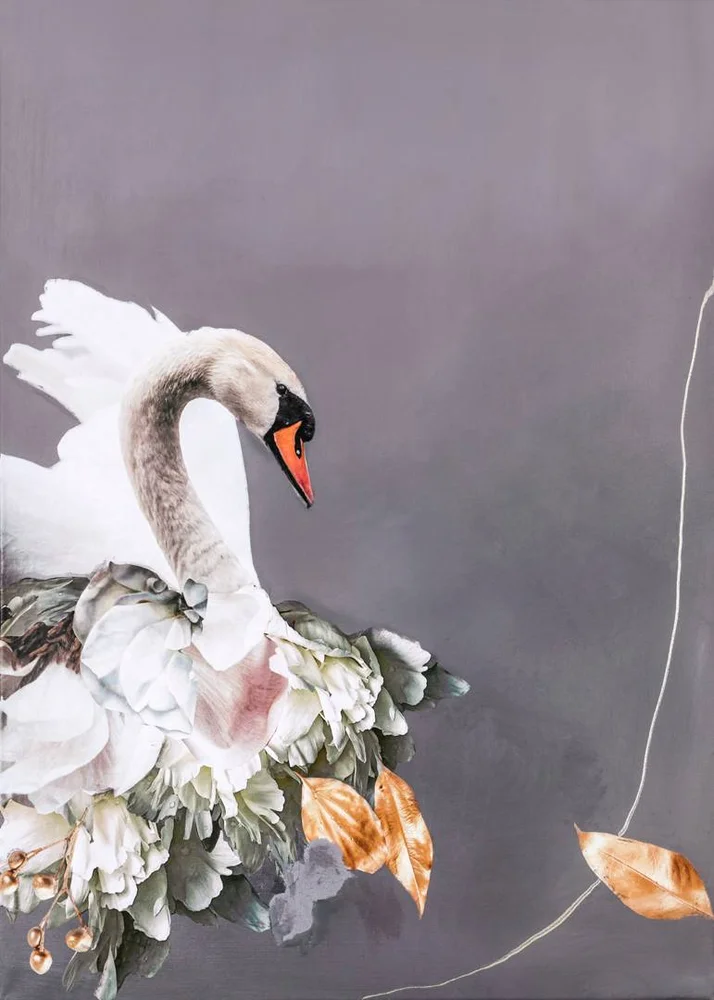 Poster Swan Gold 2 – Grå – Dekor | m v:6736542