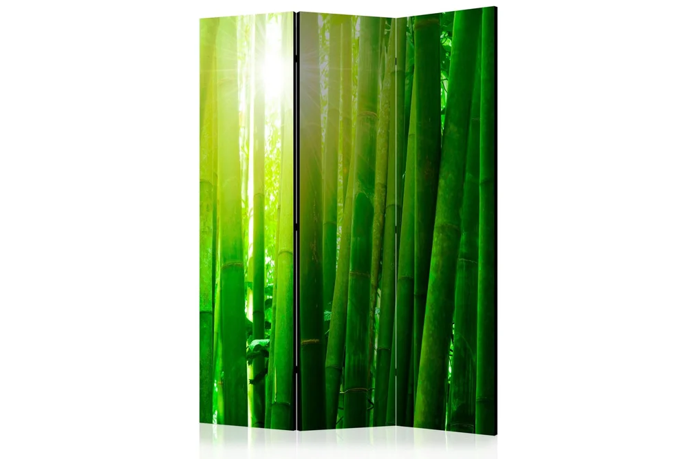 Kadira Rumsavdelare 135×172 cm VALUE_MISSING_1 v:7766584 Kadira Rumsavdelare 135×172 cm VALUE_MISSING_1 v:7766584