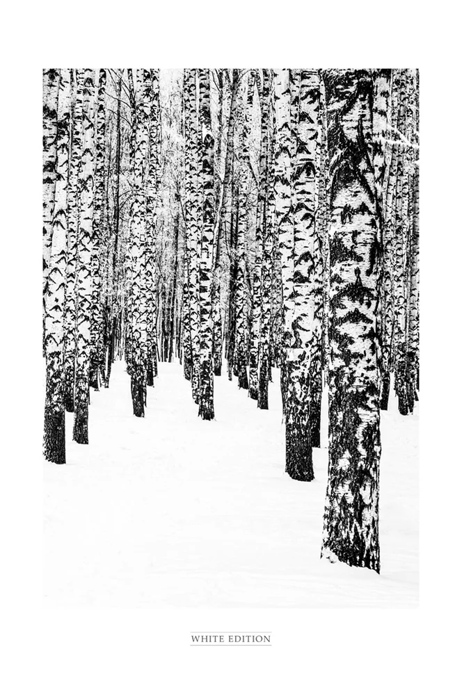 Poster White Edition 2 – Svart – Dekor | m v:8574119