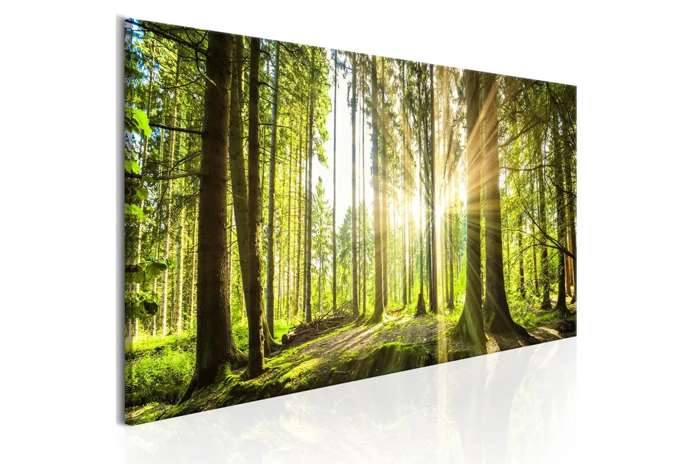 Bilde Daylight 135x45 v:1730931