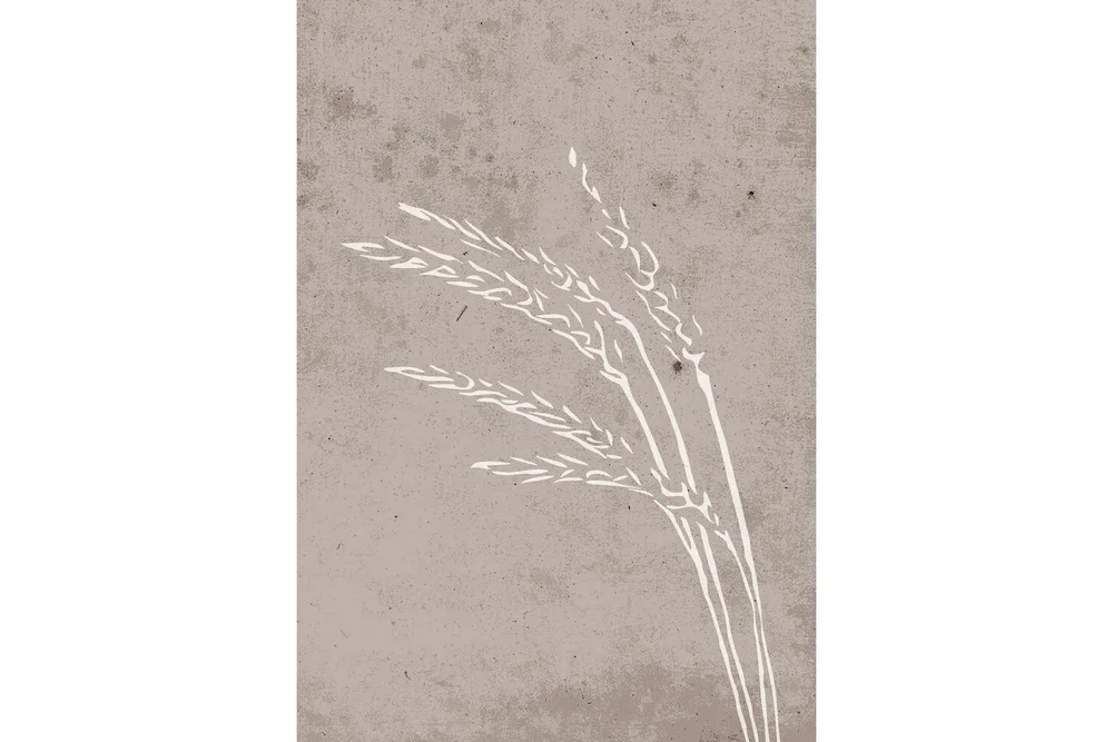 Poster Seeds 70x100 cm v:8720453