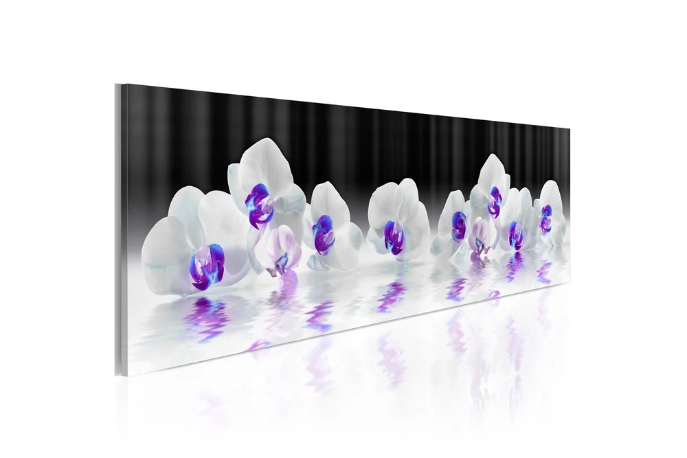 Bilde Water Orchids 120x40 v:1452637