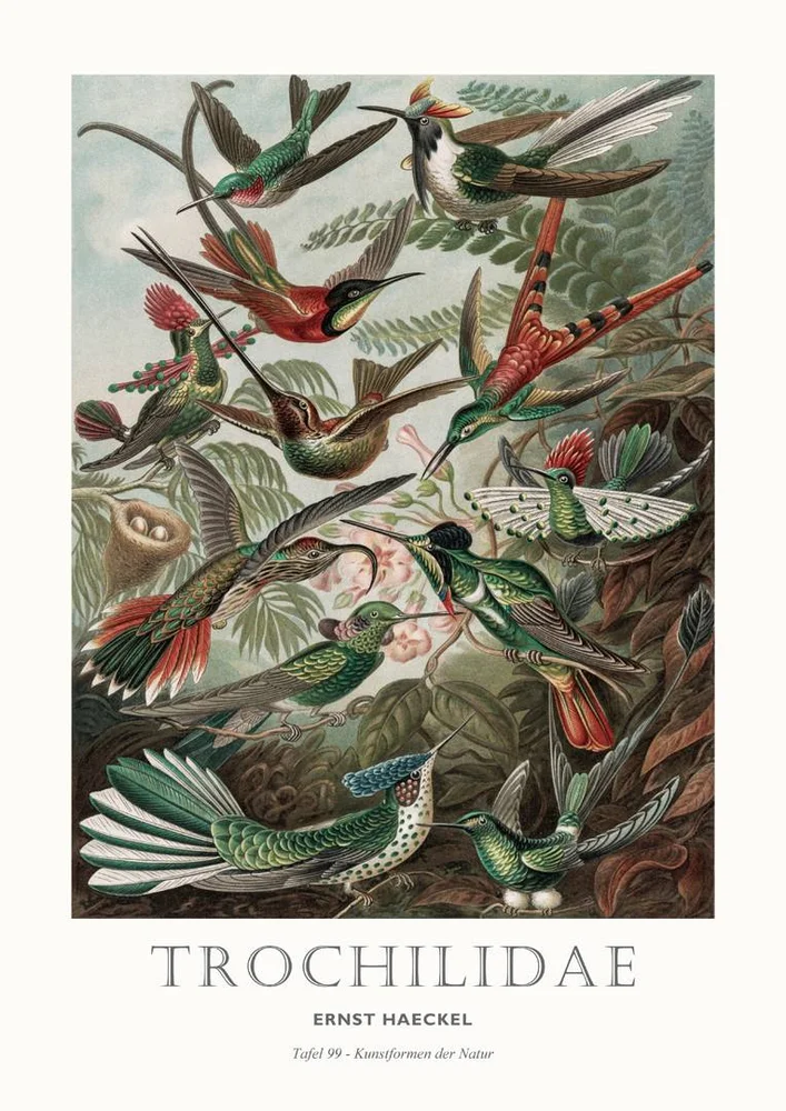 Poster Tafel 99 – Grønn – Dekor | m v:5210853