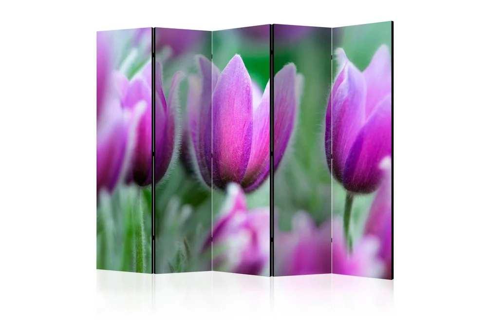 Kadira Romdeler 225×172 v:7499644 Kadira Romdeler 225×172 v:7499644