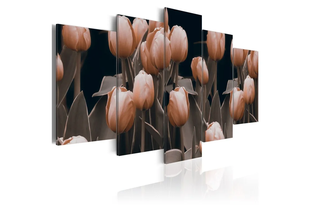 Bilde Tulipaner Sepia 200x100 v:5413348