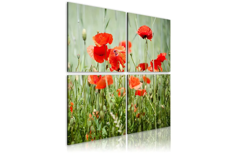 Bilde Springtime 40x40 v:5989937