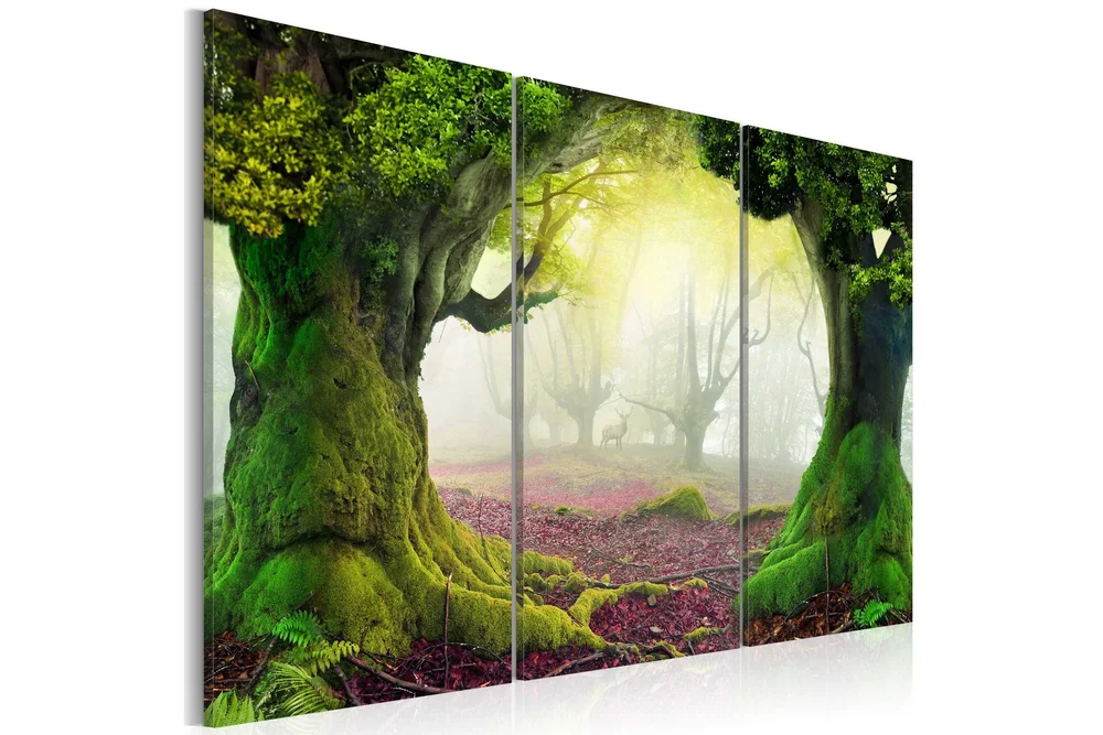 Bilde Mysterious forest 90x60 v:5001281