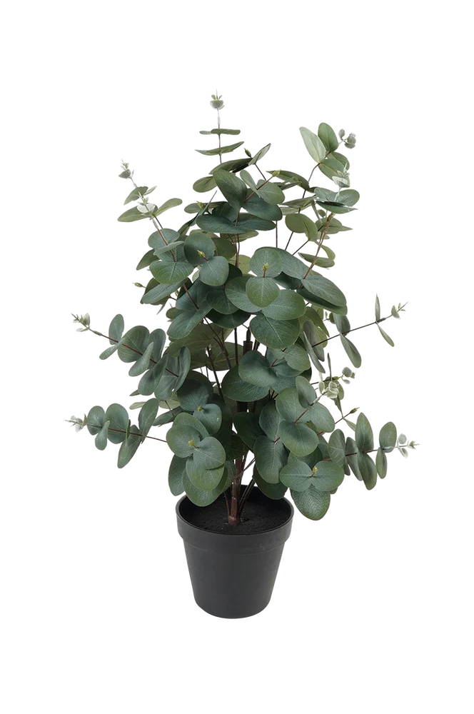 Kunstig plante Eucalyptus Leaf - Grønn - Dekor | m v:1322557