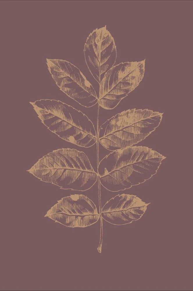 Poster Botanica 2 – Rød – Dekor | m v:7602993 Poster Botanica 2 – Rød – Dekor | m v:7602993