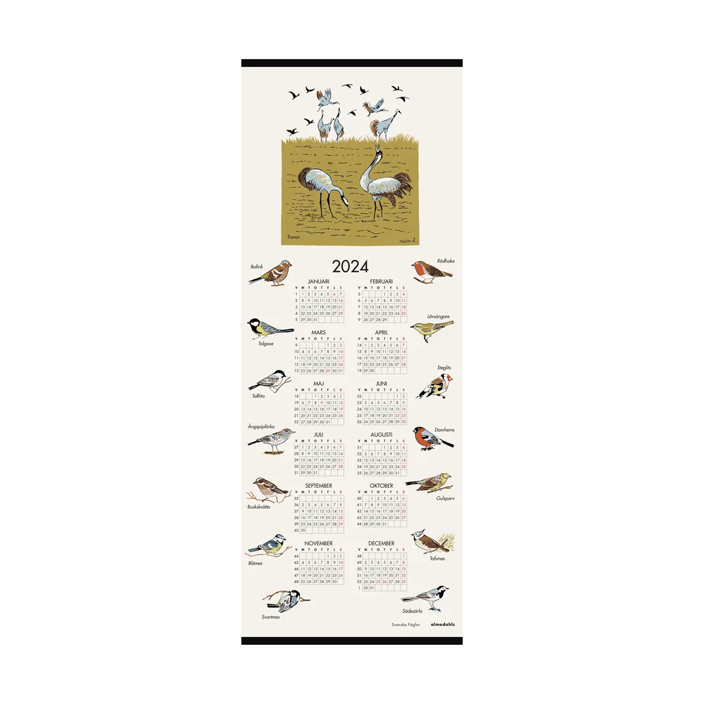 Svenske fugler kalender 2024 v:3634859