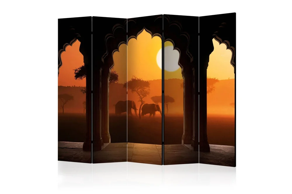 Romdeler - Hear Africa II 225x172 v:5918583