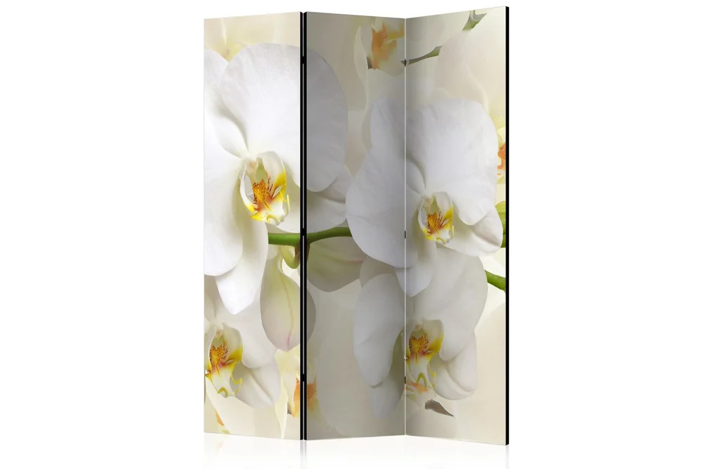 Kadira Rumsavdelare 135×172 cm VALUE_MISSING_1 v:5280110 Kadira Rumsavdelare 135×172 cm VALUE_MISSING_1 v:5280110