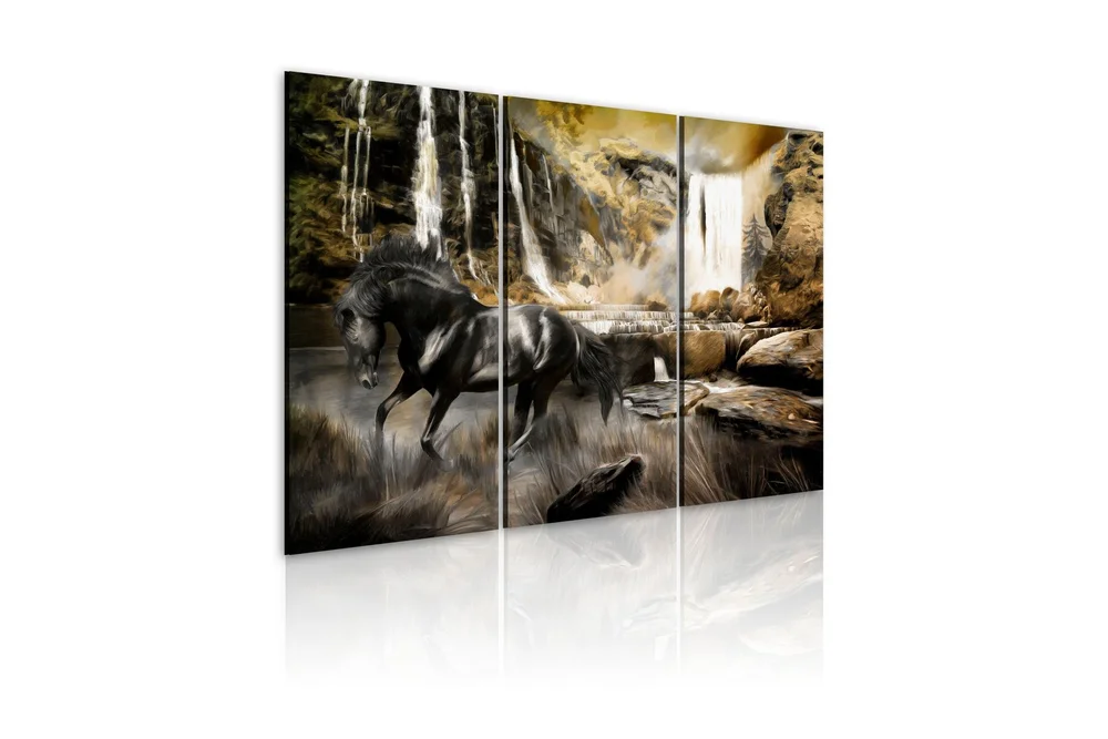 Bilde Black Horse And Rocky Waterfall 60x40 v:9570662