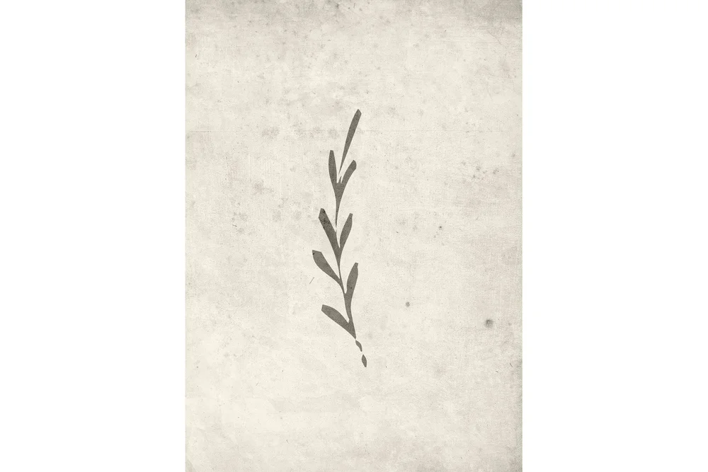 Poster Autumn leaf 50x70 cm v:4511804
