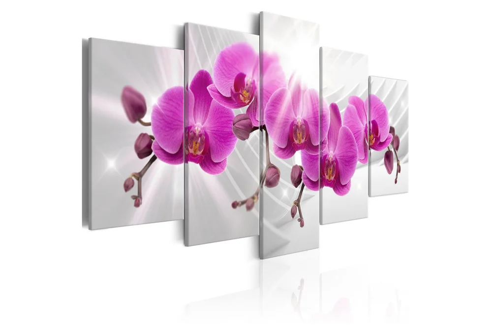 Bilde Abstract Garden Pink Orchids 200×100 v:4190102 Bilde Abstract Garden Pink Orchids 200×100 v:4190102