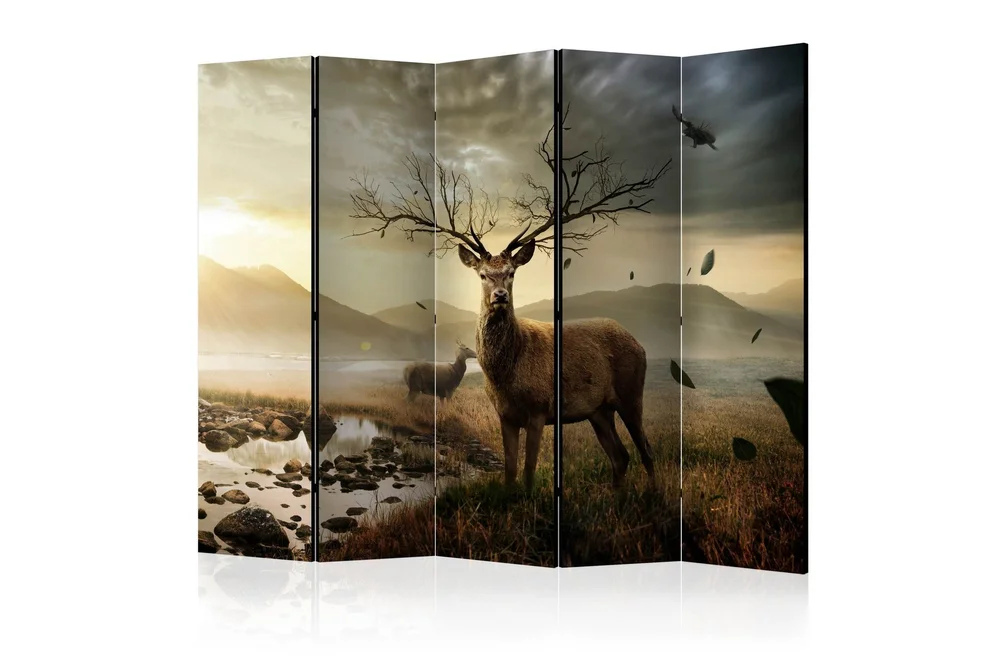Kadira Romdeler 225×172 v:5344783 Kadira Romdeler 225×172 v:5344783
