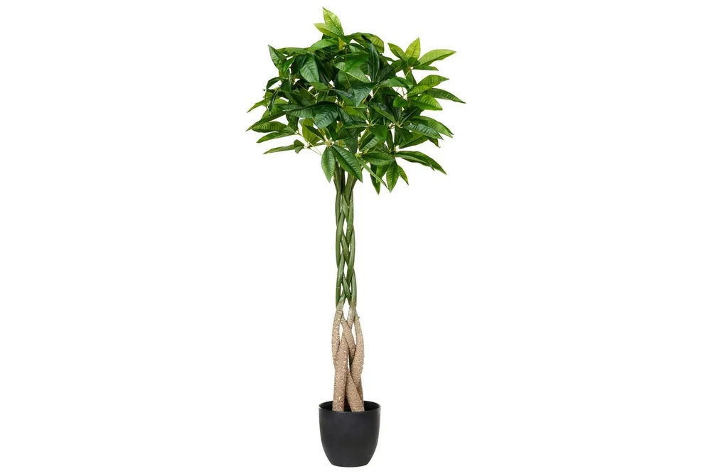 Konstgjord växt Beliani Pachira Tree Green||Black v:5547959 Konstgjord växt Beliani Pachira Tree Green||Black v:5547959
