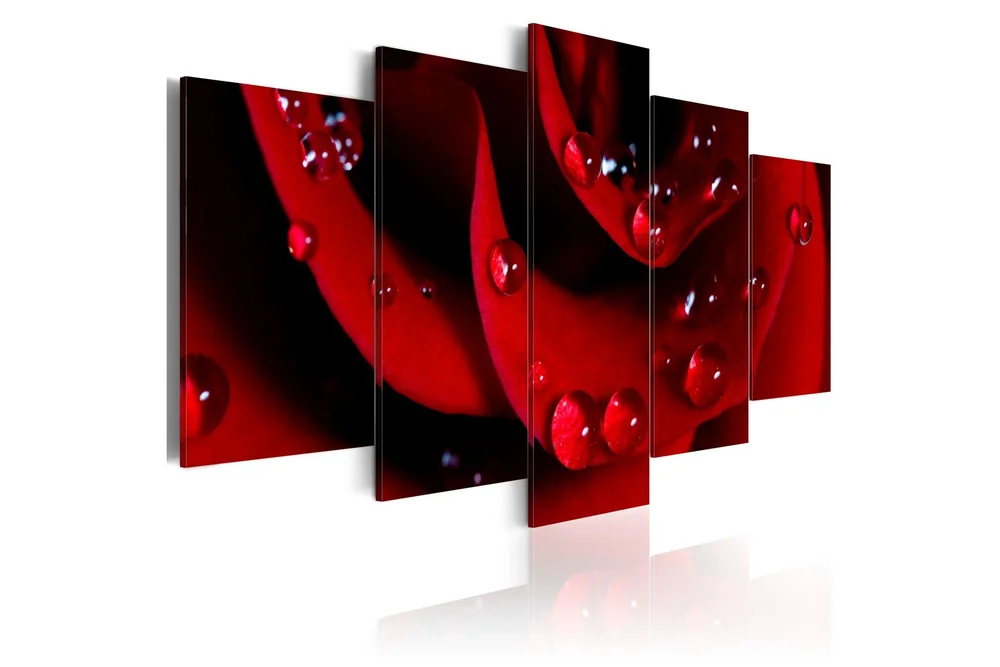 Bilde Rose With Dew 100x50 v:3048679