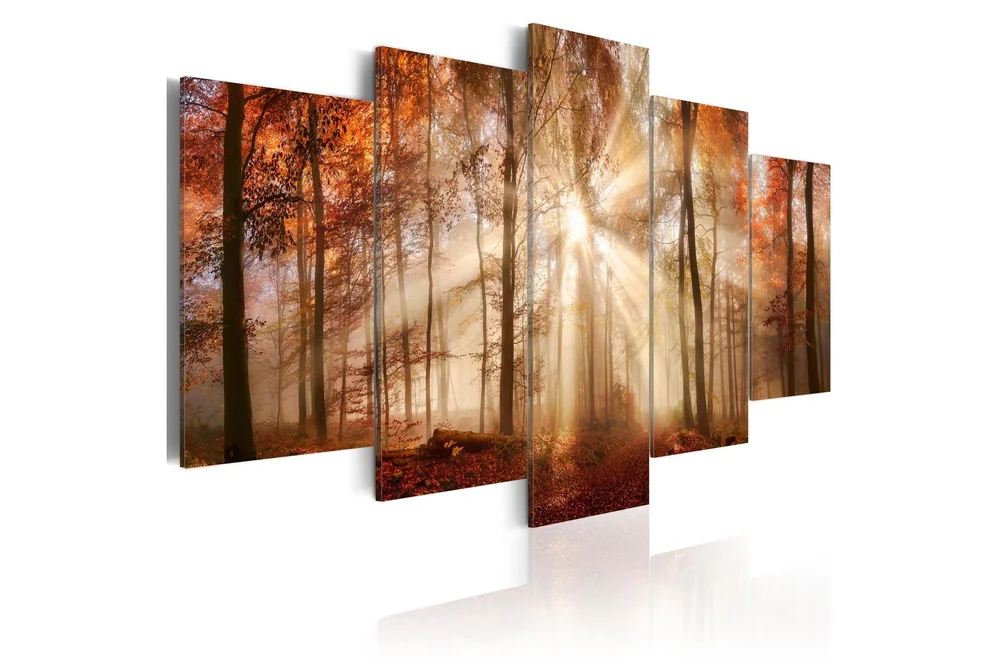 Bilde Forest Fog 100x50 v:2196222